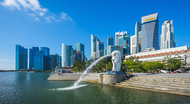 Singapore police investigate potential fraud at Hodlnaut