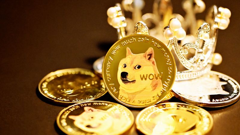 The rise of Shiba Inu: Exploring the factors behind June's surprising turnaround