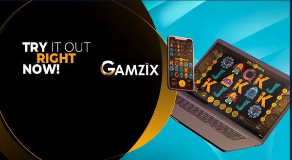 Молод и готов: Gamzix