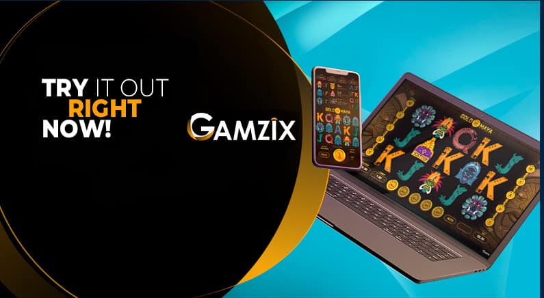 Young and Ready to Start: Gamzix