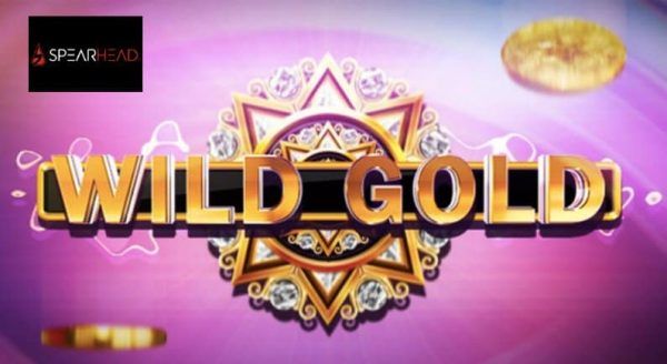 Spearhead Studios presentsWild Goldas the company’s 30th title