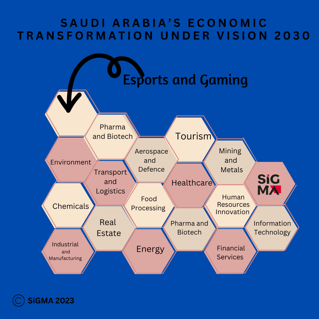 Saudi Arabia's Economic Transformation under Vision 2030