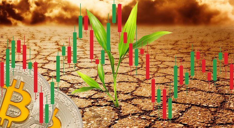 The Crypto Climate Accord: crypto to go green