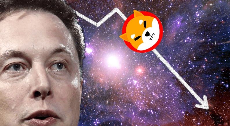 The Dogefather and the lost son - SHIB plummits after Musk tweets