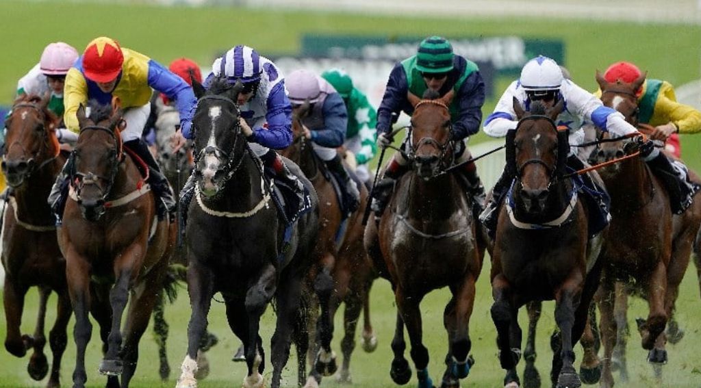 Hong Kong Jockey Club ขยาย World Pool หลังจากฤดูกาลการแข่งขันที่แข็งแกร่ง
