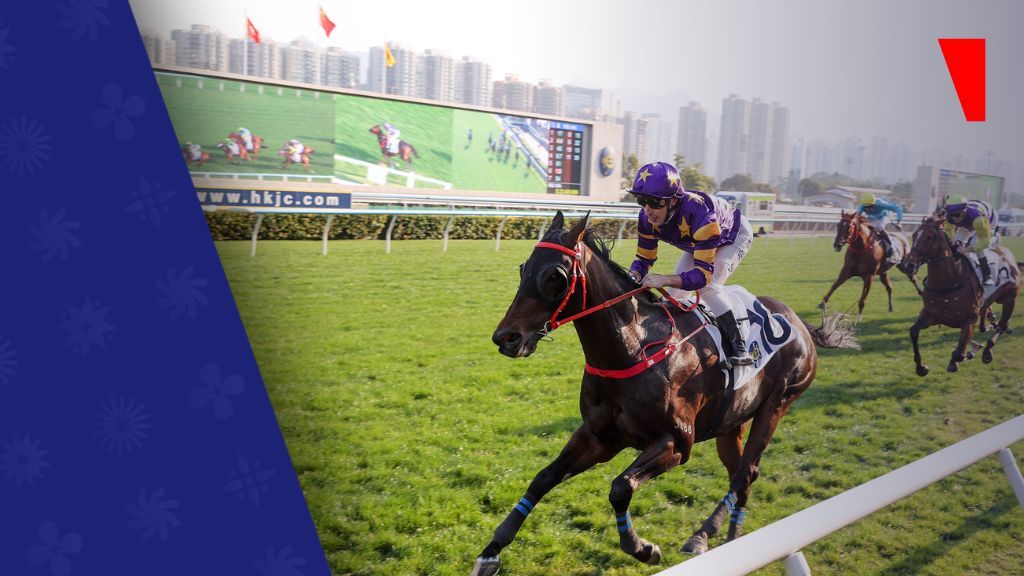 香港赛马会扩大全球业务 世界赛马彩池营业额大增