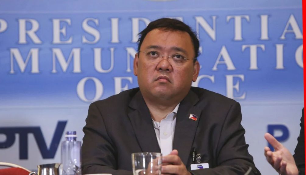 POGO-linked Harry Roque denies seeking asylum in Germany 