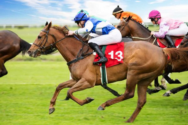 bet365 Cambridgeshire Handicap odds and key runners 2024