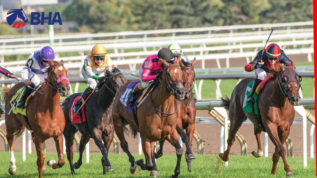 Horseracing Industry People Board secures £759,000 to strengthen workforce