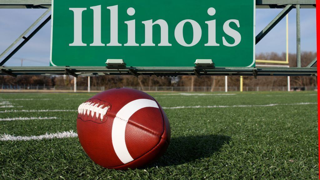 Illinois temporarily suspends few NFL betting markets