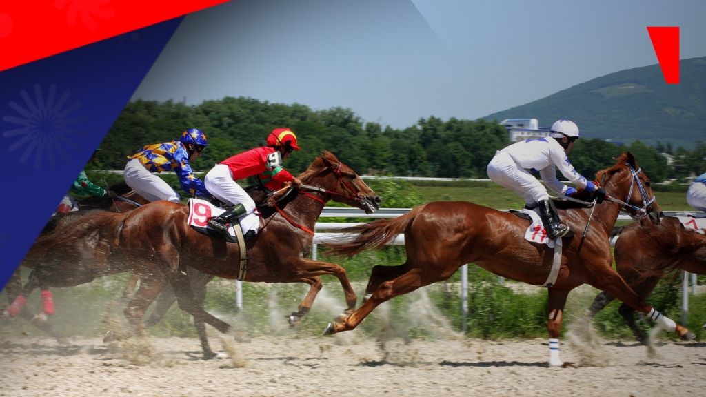 Bet365 lança aposta que paga por colocação em corridas de cavalos