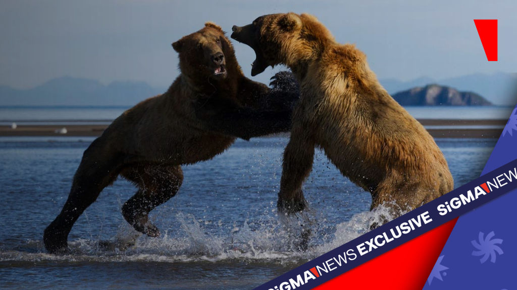 Better Collective与Catena Media：2026年联盟营销巨头的扩张策略分析