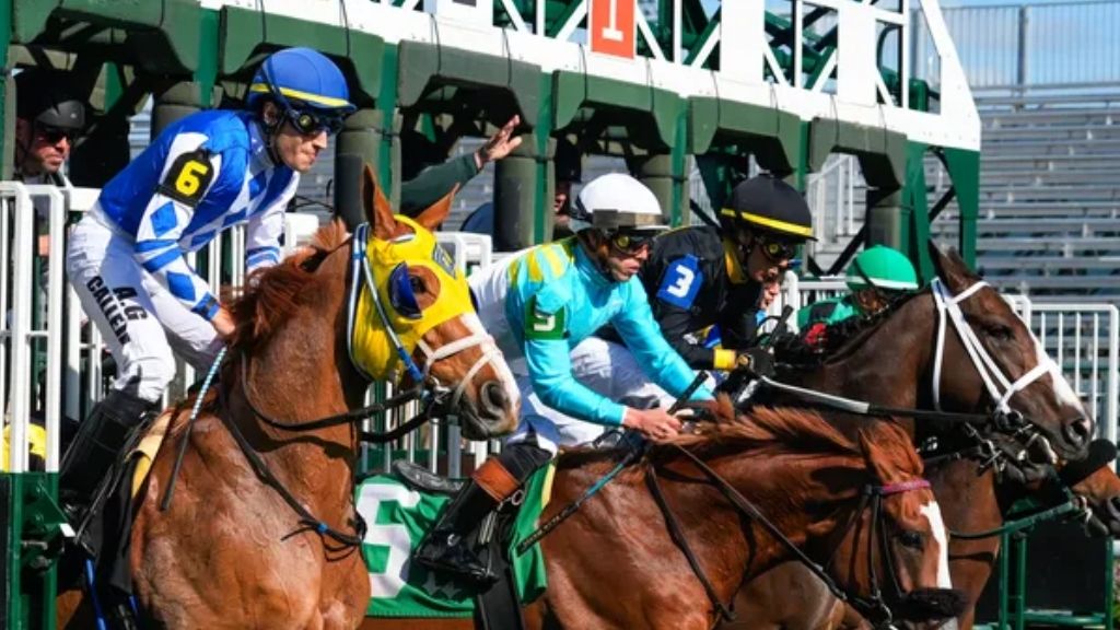 US$ 349 milhões em apostas e 147 mil pessoas no Kentucky Derby 2025
