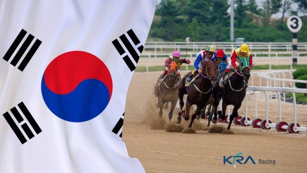 Ação de corrida de cavalos na Coreia alcança entusiastas globais