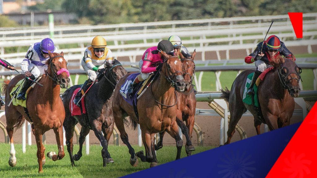 赛马行业被指欺诈:集体诉讼揭露投注池操纵内幕