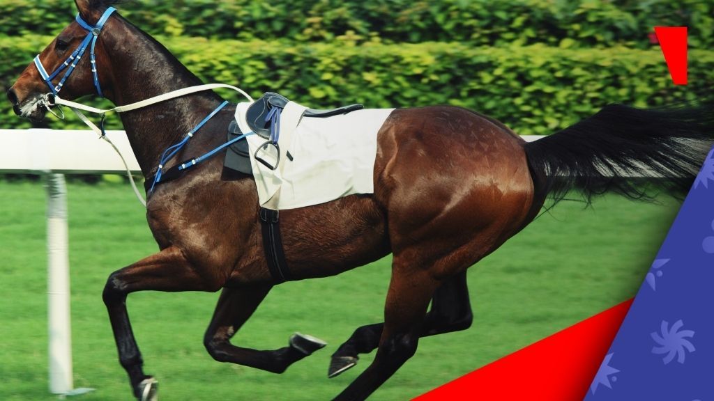 Un hipódromo en las nubes: los jinetes de Lesoto se preparan para las carreras de caballos de montaña