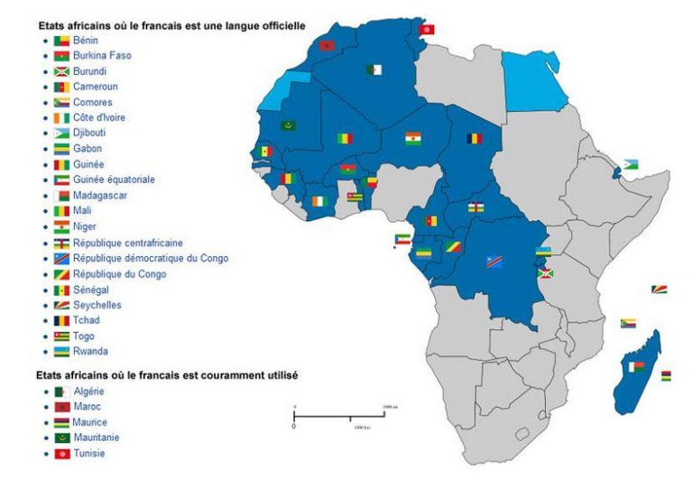 Joel Madingu's interview: Africa’s Francophone legal regime