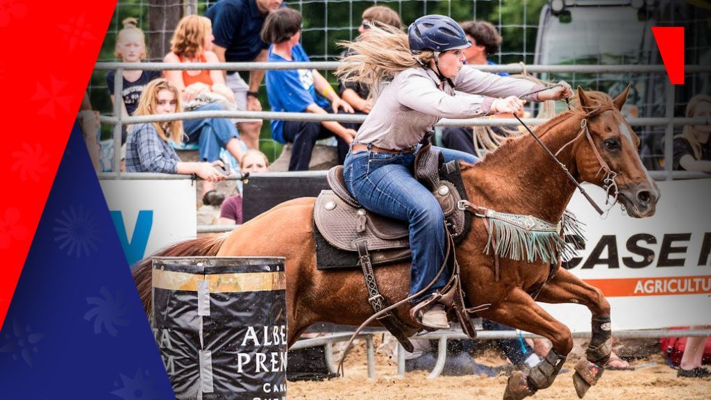 纽约推动固定赔率赛马博彩:振兴传统行业的数字化变革