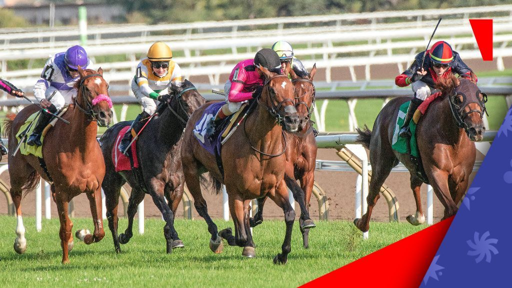 Ontario expands live horse race betting with Woodbine