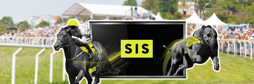 SIS Greyhound Service back in business - SigmaPlay