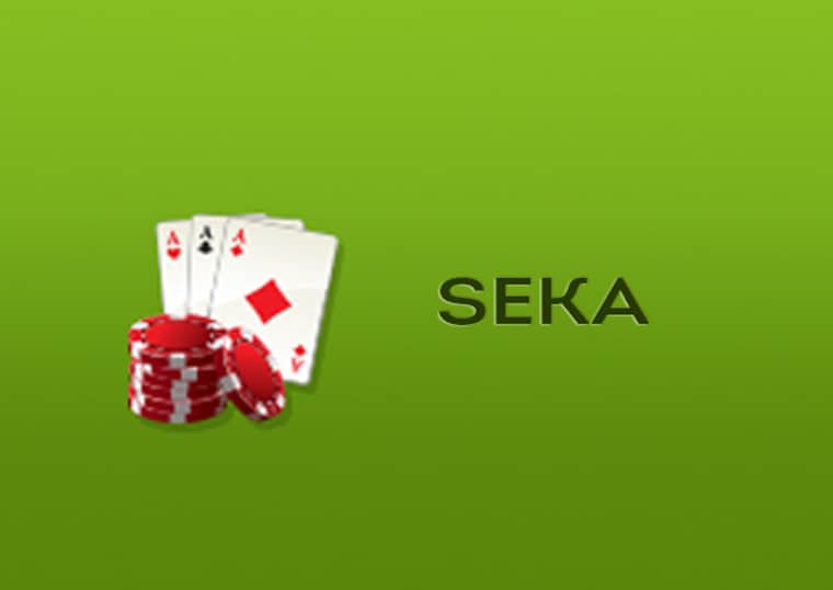 Seka Logo