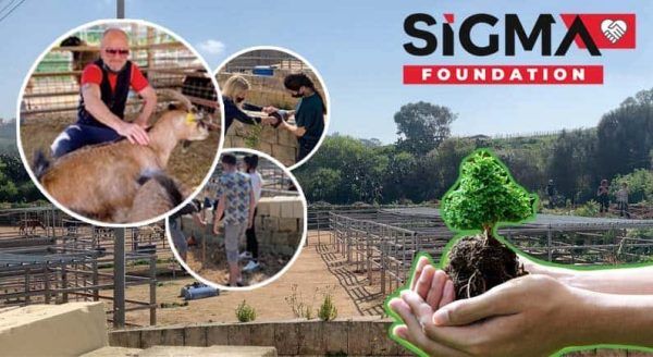 SiGMA Foundation’s latest adventure at Dreams of horses farm