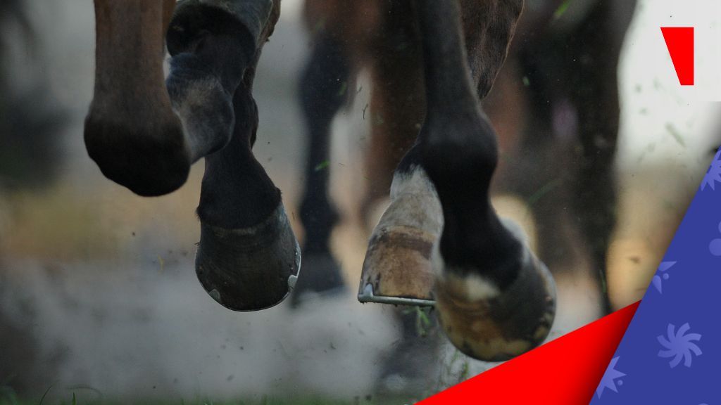 韩国警方捣毁大规模非法赛马博彩组织:涉及海外视频泄露与帮派网络