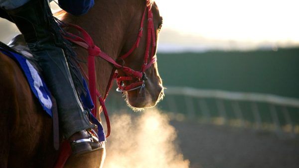 Southwell Racecourse to return to full operations after flood repairs 