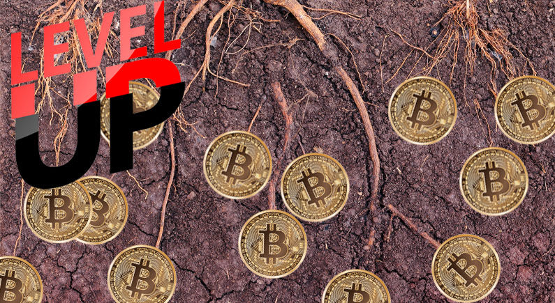 Bitcoin Taproot Upgrade to launch in November