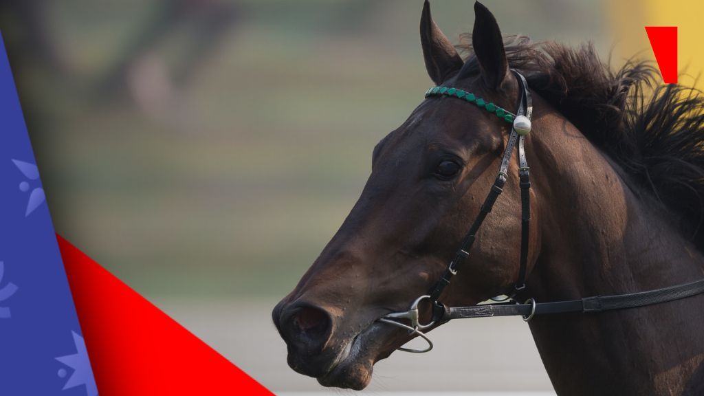 Tasmania racing body urges stronger penalties, training