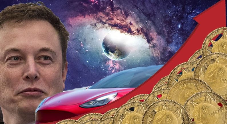Baby Doge skyrockets after Elon Musk tweet
