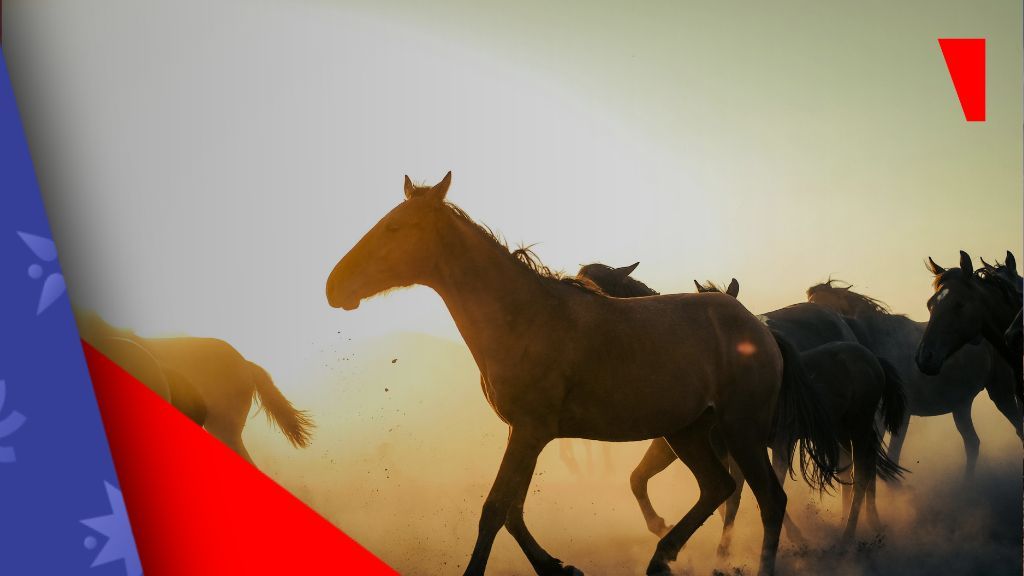 TwinSpires赢得法庭战后恢复德克萨斯州赛马投注服务：监管争议持续