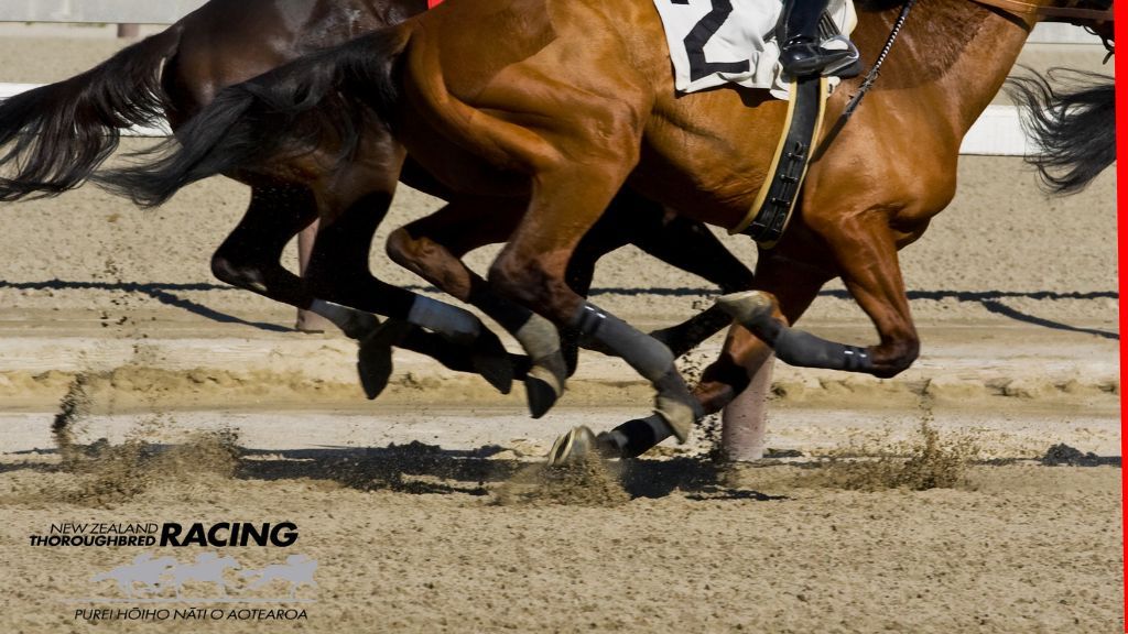 新西兰纯种赛马协会任命前SkyCity高管Matt Ballesty为新CEO,引领行业变革