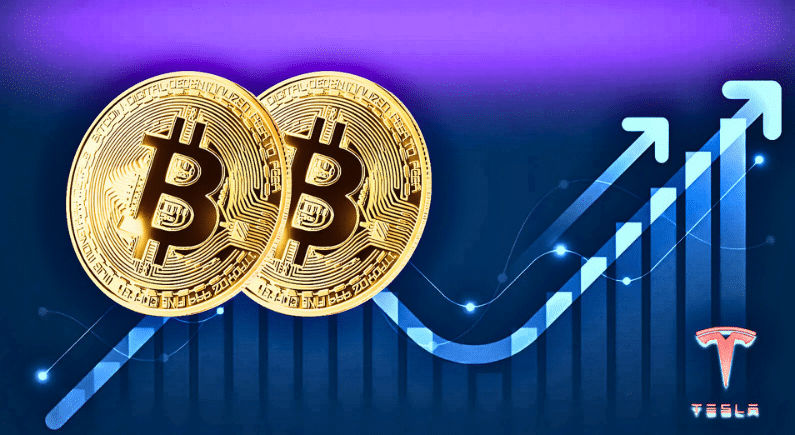 Elon Musk shakes cryptocurrency world with Tesla's Bitcoin transfer