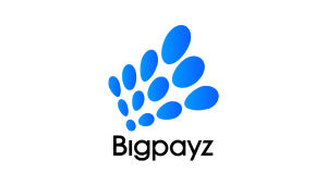 bigpayz logo