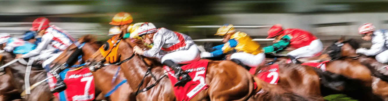 The Fastest Horses and Breeds That Dominate Horse Racing Tracks