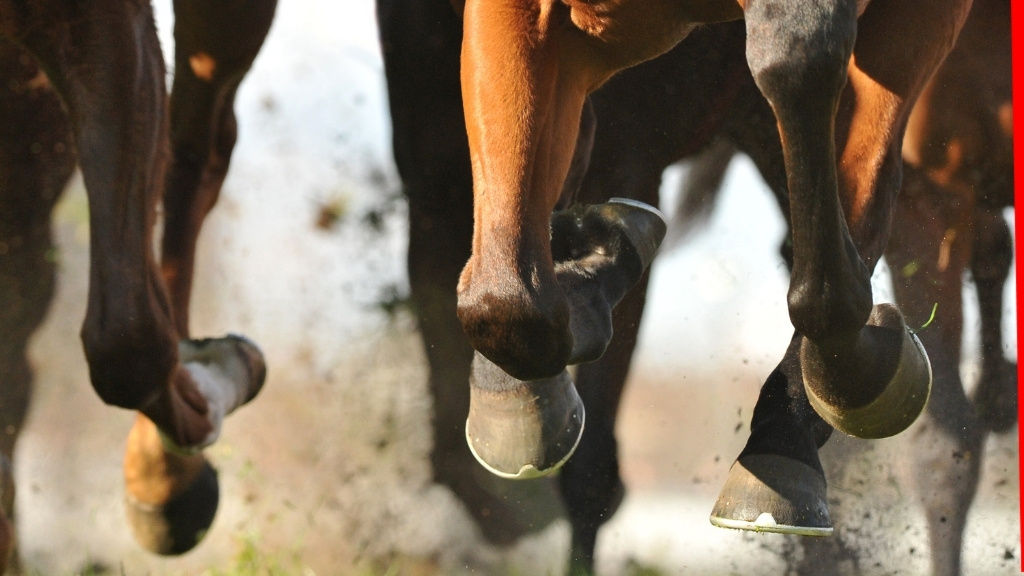 UK horse racing turns on online casinos over tax reform