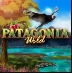 Patagonia Wild | SiGMA新闻