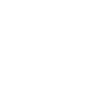 ikigai ventures logo