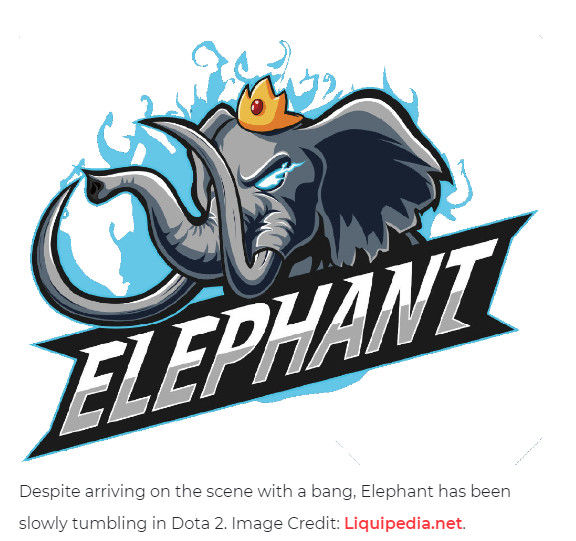 Elephant小象战队 | SiGMA新闻