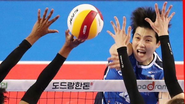 FeedConstruct aces exclusive Korean volleyball rights