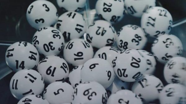 Прибыль немецкого Lotto24 выросла на 11% за 2023 год