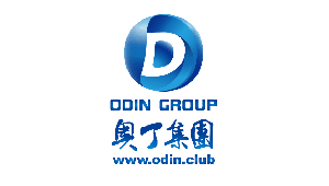 odin group logo