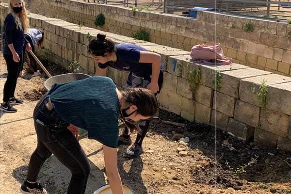 planting trees-Gozo Farm- SiGMA foundation