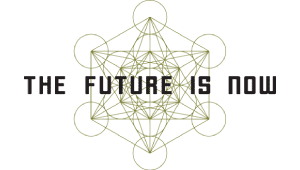 the-future-is-now logo