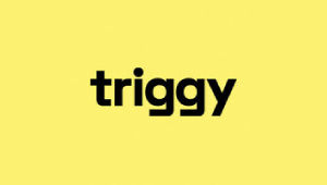 triggy logo