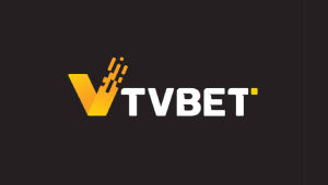 v-tv-bet logo